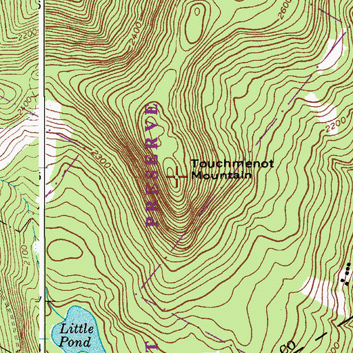 Topographic Map of Touchmenot Mountain, NY
