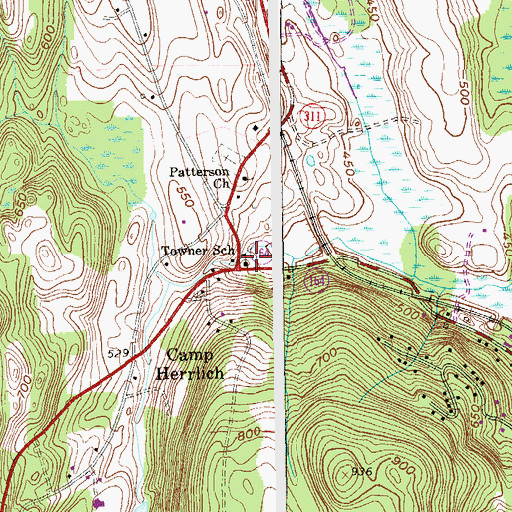 Topographic Map of Towner School, NY