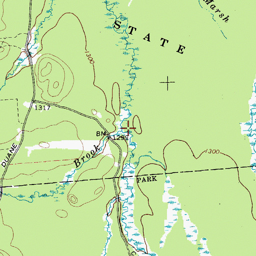 Topographic Map of Townline Brook, NY