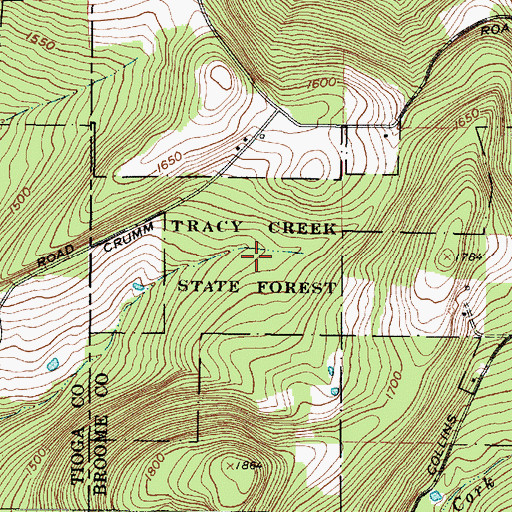 Topographic Map of Tracy Creek State Forest, NY