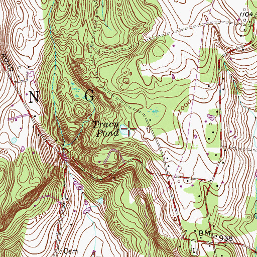 Topographic Map of Tracy Pond, NY
