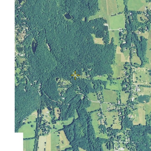 Aerial/Satellite Image of Tracy Pond, NY