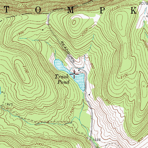 Topographic Map of Trask Pond, NY