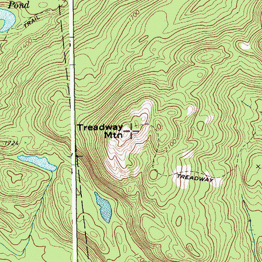 Topographic Map of Treadway Mountain, NY