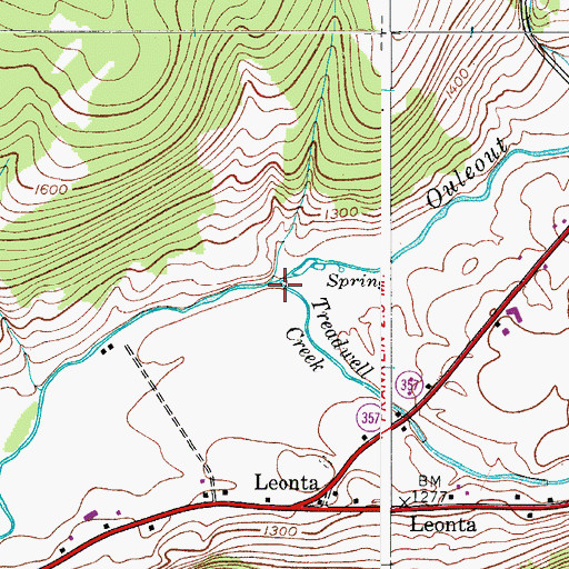Topographic Map of Treadwell Creek, NY