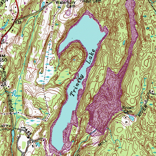 Topographic Map of Trinity Lake, NY
