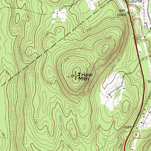 Topographic Map of Tripp Mountain, NY