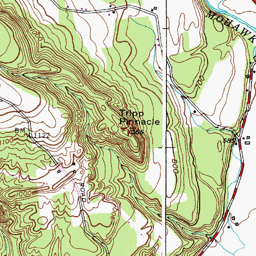 Topographic Map of Tripp Pinnacle, NY