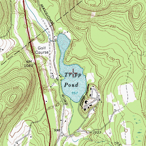 Topographic Map of Tripp Pond, NY