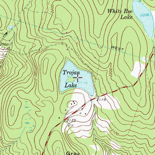 Topographic Map of Trojan Lake, NY