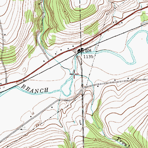Topographic Map of Trout Brook, NY