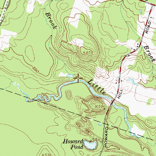 Topographic Map of Trout Brook, NY