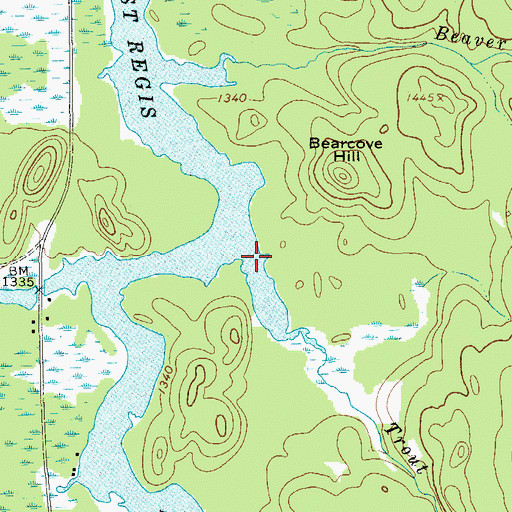 Topographic Map of Trout Brook, NY