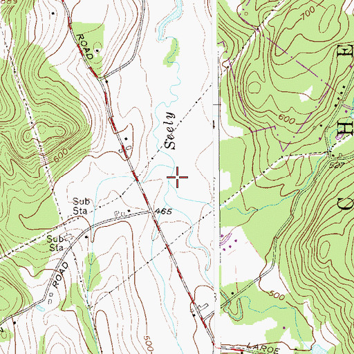 Topographic Map of Trout Brook, NY