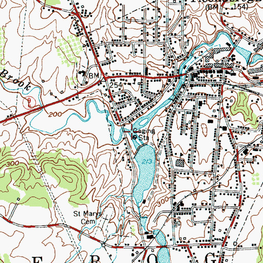 Topographic Map of Trout Brook, NY
