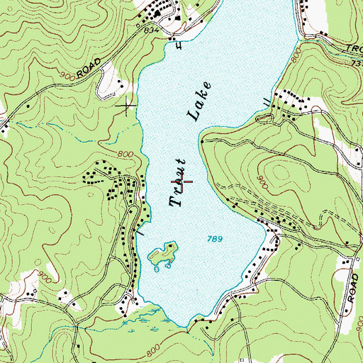 Topographic Map of Trout Lake, NY