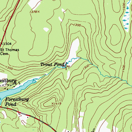 Topographic Map of Trout Pond, NY