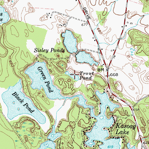 Topographic Map of Trout Pond, NY