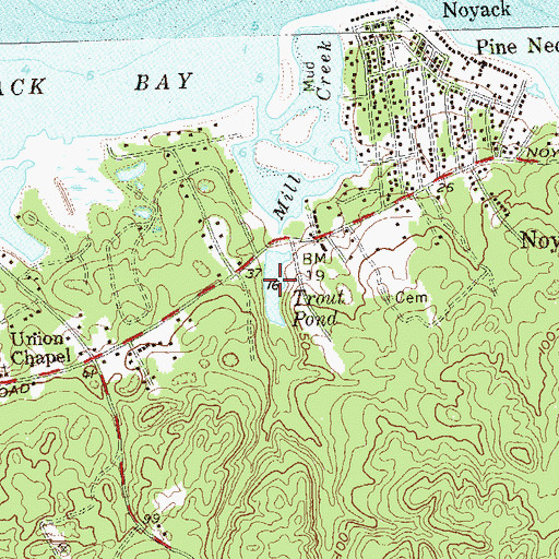 Topographic Map of Trout Pond, NY