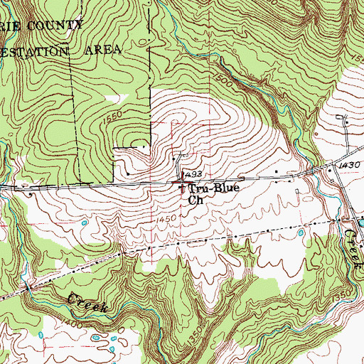 Topographic Map of Tru-Blue Church, NY