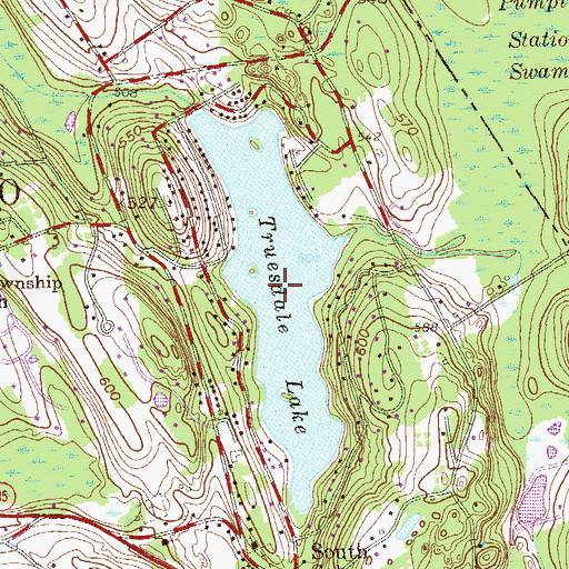 Topographic Map of Truesdale Lake, NY
