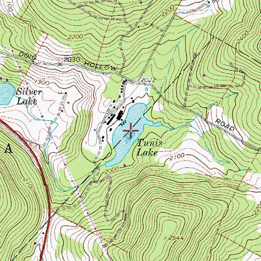 Topographic Map of Tunis Lake, NY