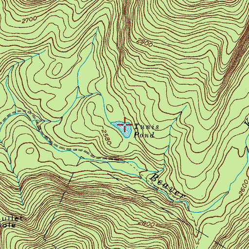 Topographic Map of Tunis Pond, NY