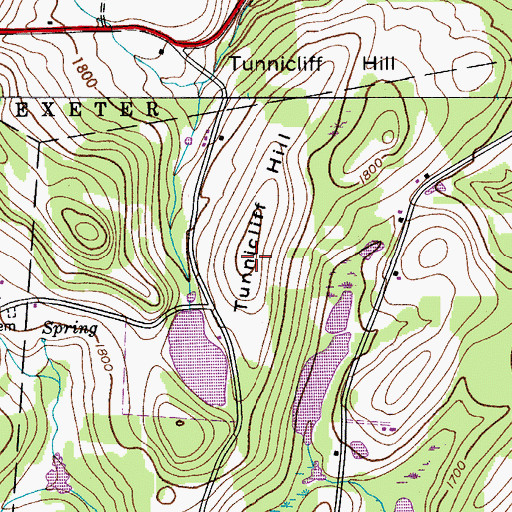 Topographic Map of Tunnicliff Hill, NY