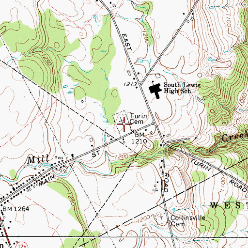 Topographic Map of Turin Cemetery, NY