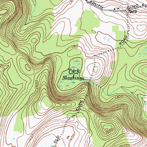 Topographic Map of Turk Slashings, NY