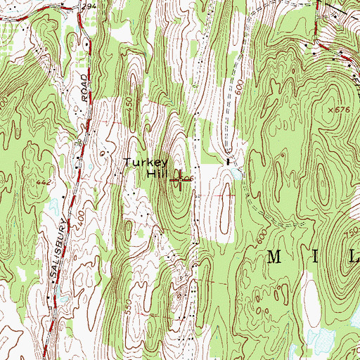 Topographic Map of Turkey Hill, NY