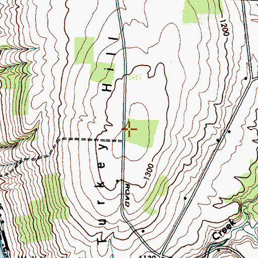 Topographic Map of Turkey Hill, NY