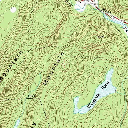 Topographic Map of Turkey Mountain, NY