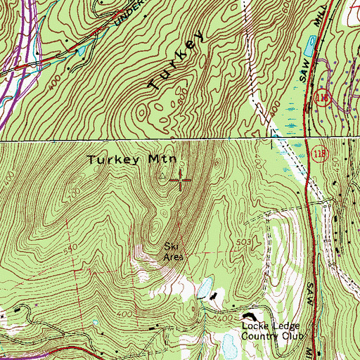 Topographic Map of Turkey Mountain, NY