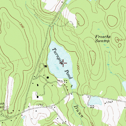 Topographic Map of Turnpike Pond, NY