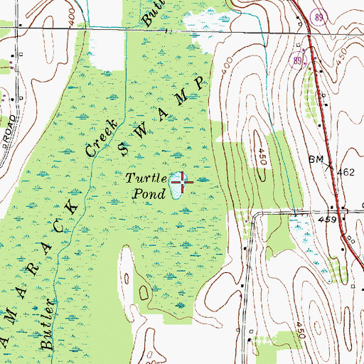 Topographic Map of Turtle Pond, NY