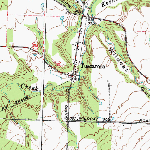 Topographic Map of Tuscarora, NY