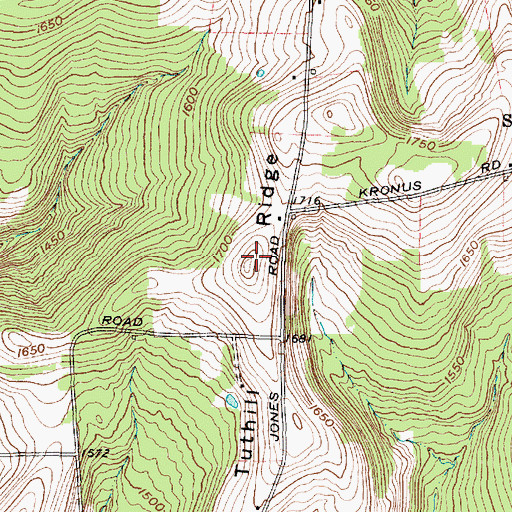 Topographic Map of Tuthill Ridge, NY