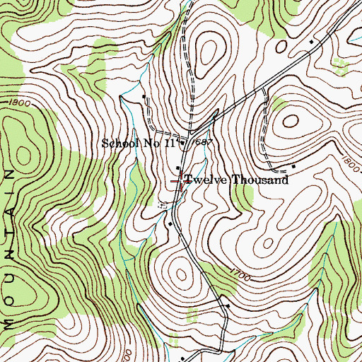 Topographic Map of Twelve Thousand, NY