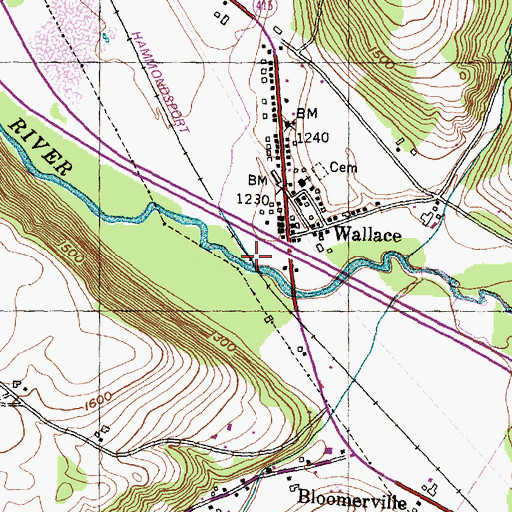Topographic Map of Twelvemile Creek, NY