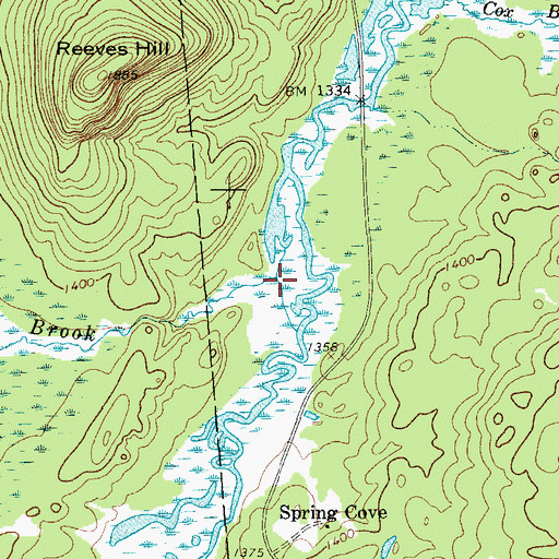 Topographic Map of Twin Brook, NY