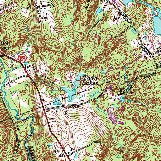 Topographic Map of Twin Lakes, NY