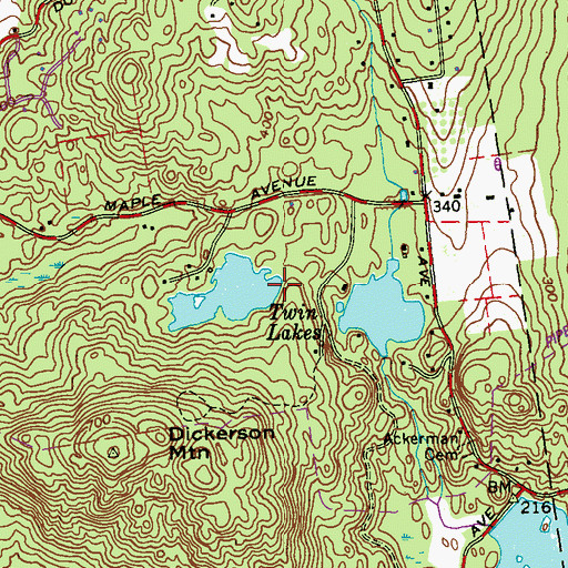 Topographic Map of Twin Lakes, NY