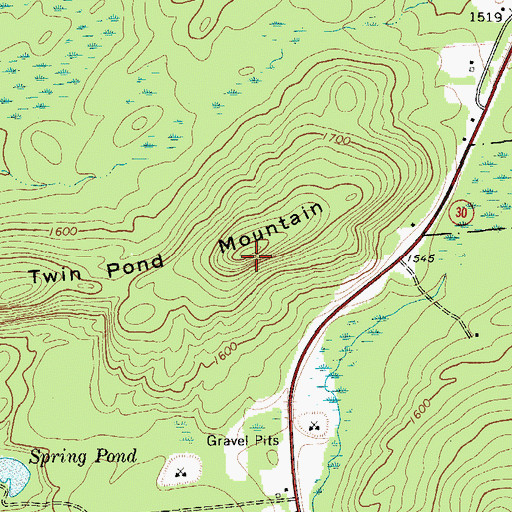 Topographic Map of Twin Pond Mountain, NY