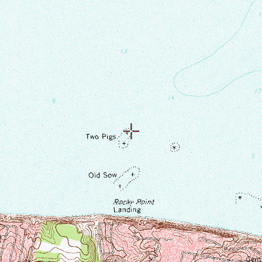 Topographic Map of Two Pigs, NY