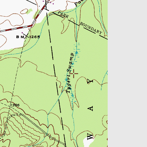 Topographic Map of Tygert Swamp, NY