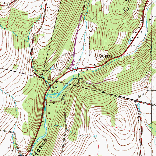 Topographic Map of Tyler Brook, NY