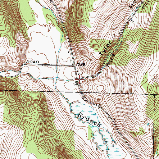 Topographic Map of Tyler Hollow, NY