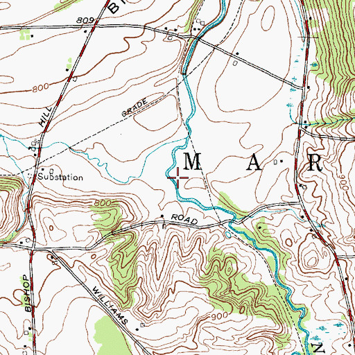 Topographic Map of Tyler Hollow, NY
