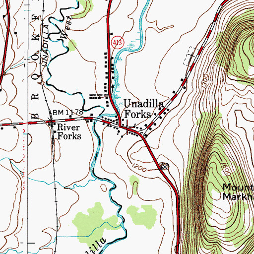 Topographic Map of Unadilla Forks, NY